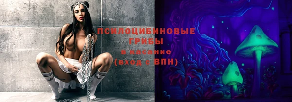 мет Арсеньев