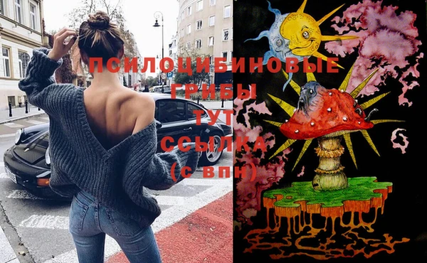 мет Арсеньев