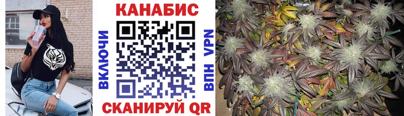 где продают   Полярные Зори  Бошки марихуана VHQ 